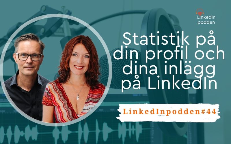 statistik LinkedIn profil