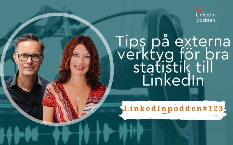 statistik linkedin